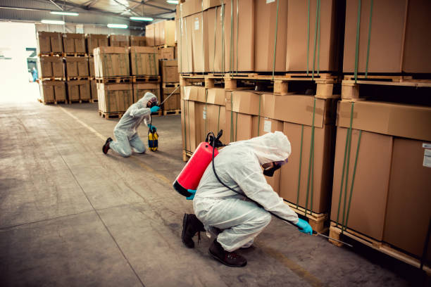 Best Affordable Pest Control Services  in Delafield, WI
