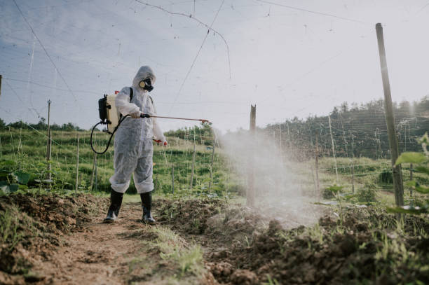 Best Pest Prevention Services  in Delafield, WI