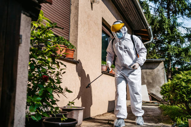 Best Insect Control  in Delafield, WI