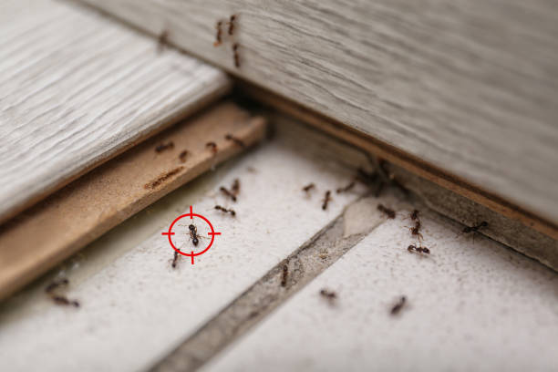 Best Residential Pest Control  in Delafield, WI