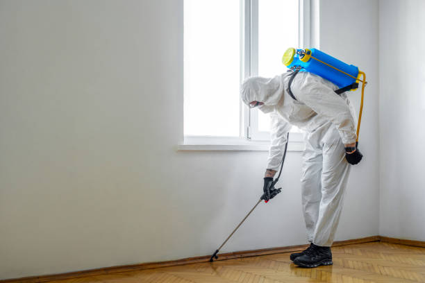 Best Flea Control Services  in Delafield, WI