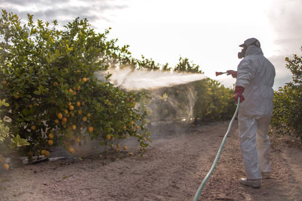 Best Pest Removal Services  in Delafield, WI