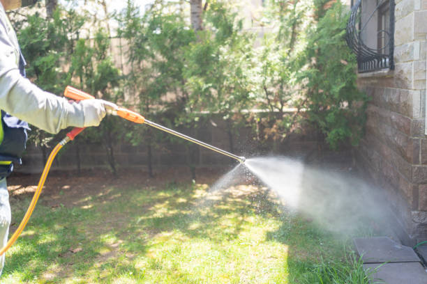 Best Insect Control  in Delafield, WI