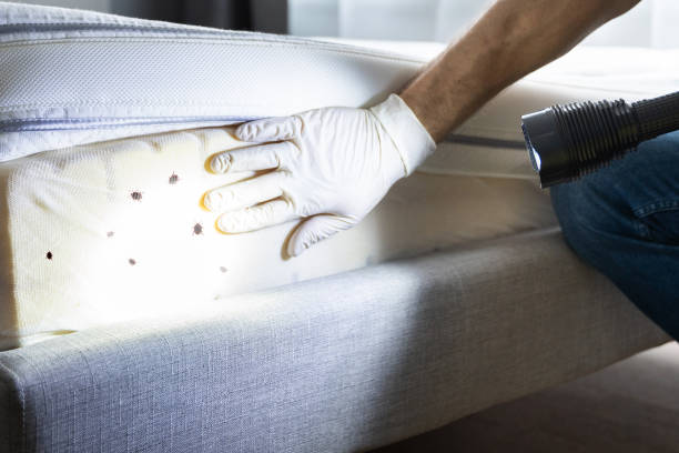 Best Pest Inspection Near Me  in Delafield, WI
