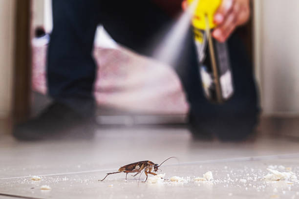 Professional Pest Control in Delafield, WI